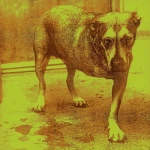 Alice In Chains - Alice In Chains Album Cover