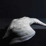 Amenra - Mass VI Album Cover