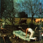 Tori Amos - Caught A Lite Sneeze [US] Album Cover